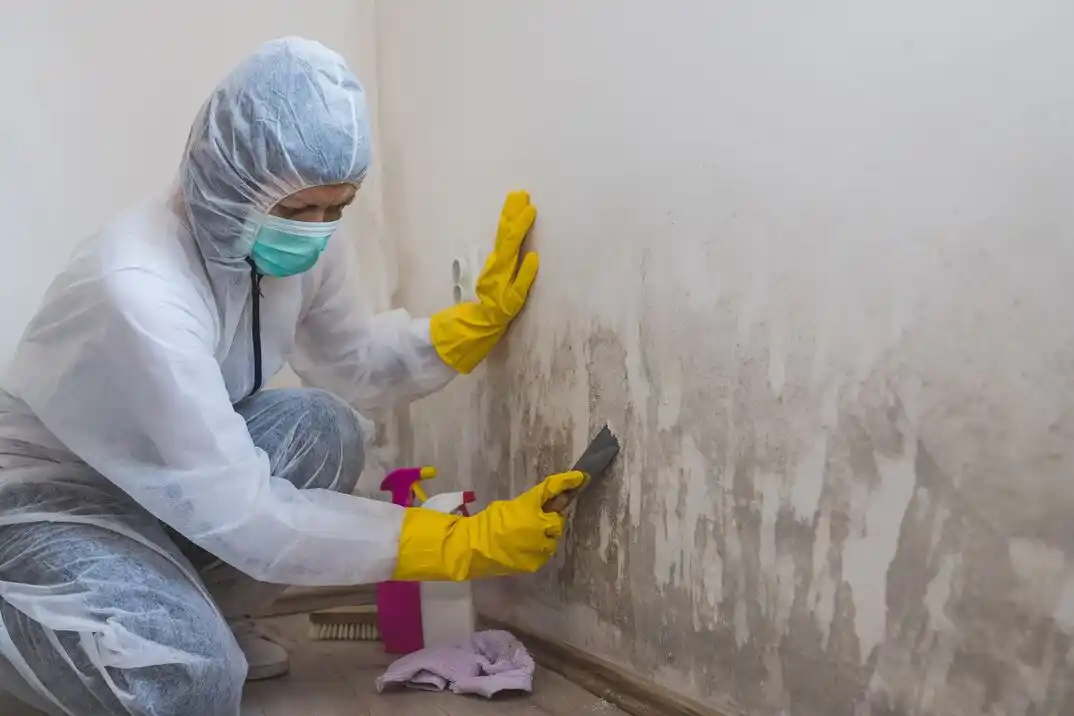 water damage restoration service Cross Winds